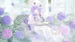 patchouli knowledge from touhou