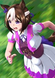 special week (umamusume) from umamusume