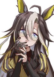 dream journey (reminder of dreamland) (umamusume) from umamusume