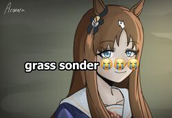 grass wonder (umamusume) from umamusume