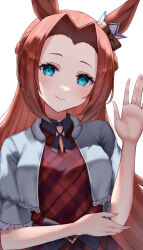kawakami princess (umamusume) from umamusume