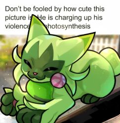 floragato from pokemon by sifyro