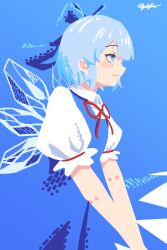 cirno from touhou