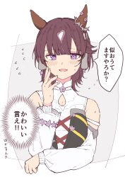 lucky lilac (umamusume) from umamusume