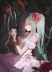 hatsune miku from vocaloid