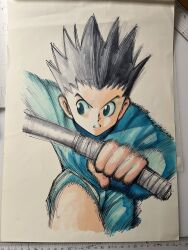 gon freecss from hunter x hunter
