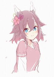 sakura chiyono o (umamusume) from umamusume
