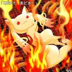 kyubey from mahou shoujo madoka magica by touyama maki