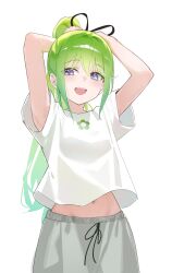 stellive fan art