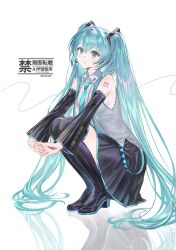 hatsune miku from vocaloid