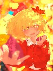 aki shizuha from touhou
