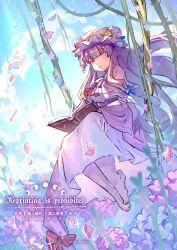 patchouli knowledge from touhou