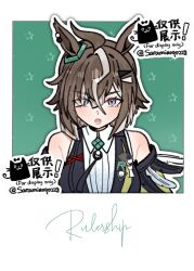 umamusume fan art