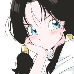 videl from dragon ball