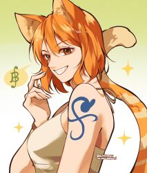 nami (one piece) from one piece