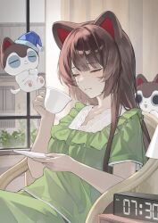 inui toko from nijisanji