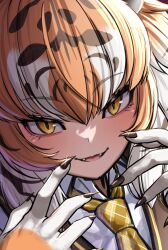 siberian tiger (kemono friends) from kemono friends