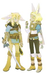 link from the legend of zelda