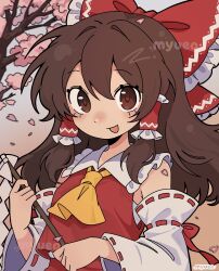 hakurei reimu from touhou
