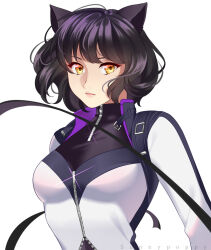 blake belladonna from rwby by sunnypoppy