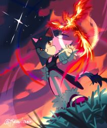 blaze the cat from sonic (series)