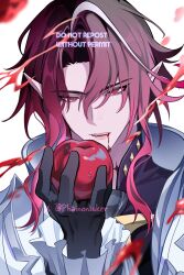 genshin impact fan art