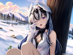 veyle (fire emblem) from fire emblem