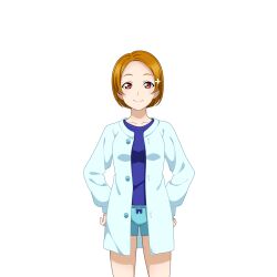 love live! fan art