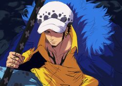trafalgar law from one piece