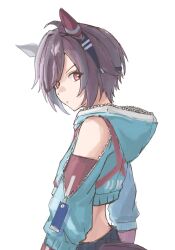 umamusume fan art