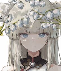 perlica (arknights) from arknights