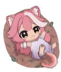 raora panthera from hololive