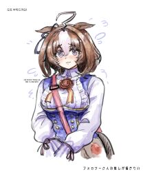 meisho doto (umamusume) from umamusume
