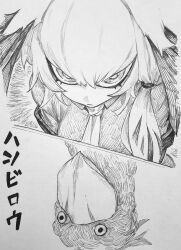 shoebill (kemono friends) from kemono friends by chronozbergh