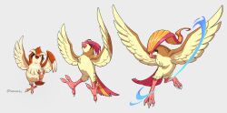 pidgeot from pokemon