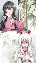 fujiwara no mokou from touhou