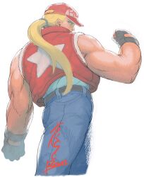 terry bogard from fatal fury
