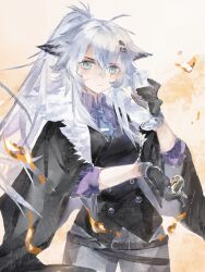 lappland (arknights) from arknights