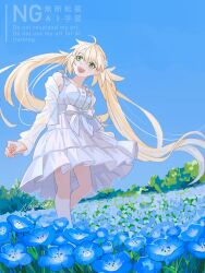 artoria caster (fate) from fate/grand order