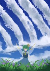 daiyousei from touhou