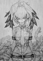 shoebill (kemono friends) from kemono friends by chronozbergh