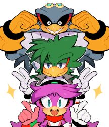 jet the hawk from sonic (series)
