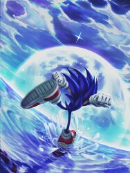 sonic the hedgehog from sonic (series)