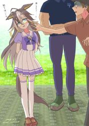 dream journey (umamusume) from real life by hashikurao