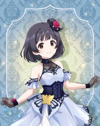 nakatani iku from idolmaster