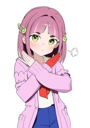 lacey (pokemon) from pokemon