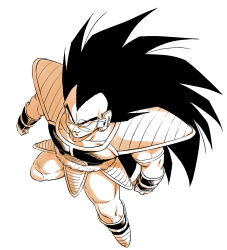 raditz from dragon ball