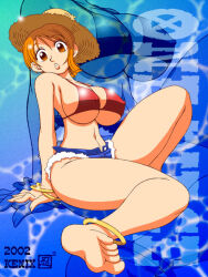nami (one piece) from one piece