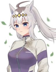 oguri cap (umamusume) from umamusume