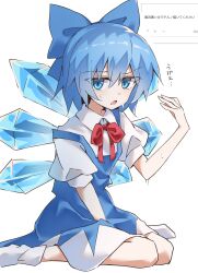 cirno from odaibako